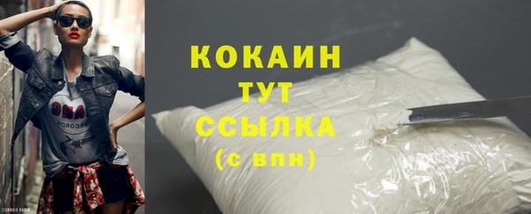 PSILOCYBIN Аркадак