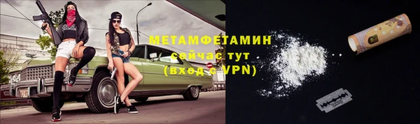 PSILOCYBIN Аркадак