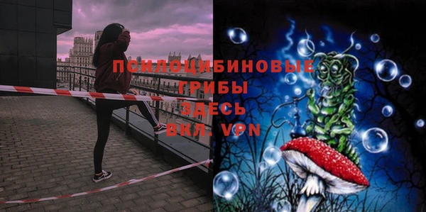 мет Арсеньев