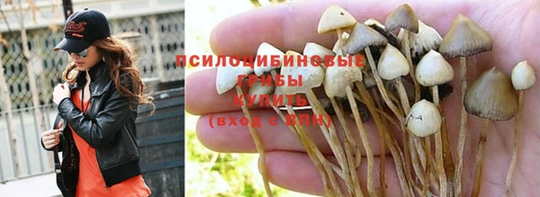 мет Арсеньев